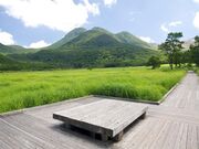 タデ原湿原の写真2