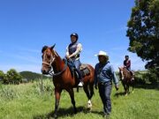 エル・ランチョ・グランデの写真2