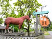 エル・ランチョ・グランデの写真4