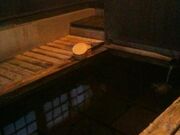 筋湯温泉 薬師湯の写真2