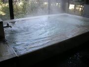 麻生釣温泉 亀山の湯の写真2