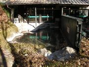 せせらぎの湯の写真3