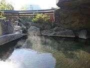 九日市温泉 万年の湯の写真2