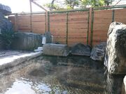 九日市温泉 万年の湯の写真3