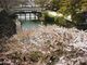 大分城址公園・府内城跡の写真3