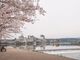 三隈川の写真2