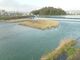 三隈川の写真3