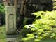 見星禅寺の写真2