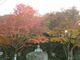 大友宗麟墓地公園の写真2