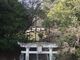 白鬚田原神社の写真2