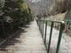 甲尾山公園の写真3