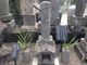 龍泉寺(瀧廉太郎の墓)の写真2