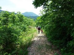 森林セラピープログラム ゆりかごの小径の写真1