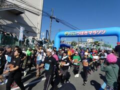 第42回河北新報気仙沼つばきマラソンの写真1