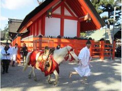 白馬神事の写真1