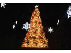 桜まつり〜冬〜大阪狭山イルミネーション〜の写真1