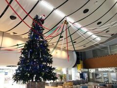 夢みなとイルミネーションの写真1