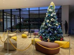 プラバホールイルミネーション2025の写真1