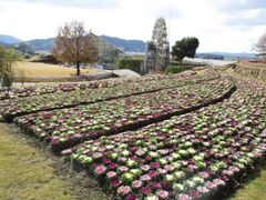 やまぐちフラワーランド 感謝DAYの写真1