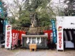 十日ゑびすまつりの写真1