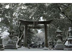 全国総本宮 水天宮 年越大祓の写真1