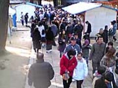 香椎宮 初詣の写真1