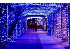 くるめ光の祭典「ほとめきファンタジー」の写真1