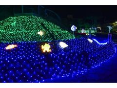 島原ウィンターナイト・ファンタジアの写真1