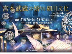 Lux Night KUMAMOTO 2025の写真1