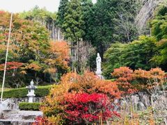天台宗宝橋山高蔵寺の紅葉の写真1