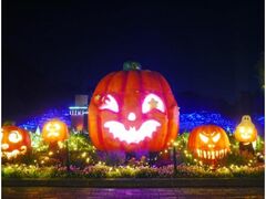 光と森のStory 第1章 森のハロウィンナイトの写真1