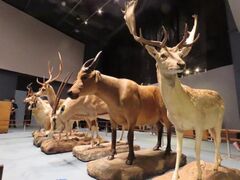 巡回展「WHO ARE WE」〜観察と発見の生物学〜の写真1
