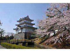 行田商工祭・忍城時代まつりの写真1