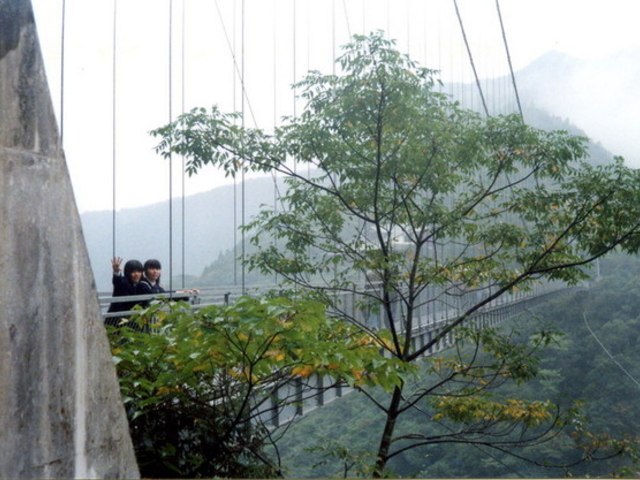 照葉大吊橋