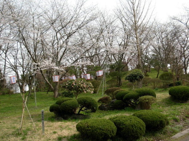 イサムさんの栗南公園の投稿写真1