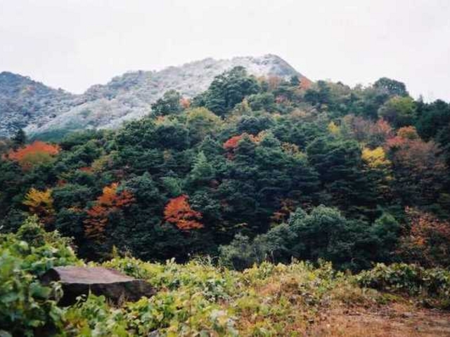 直ちゃんさんの鹿嵐山の投稿写真1