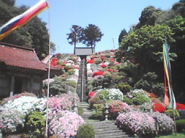 masaruさんの高野寺の投稿写真1