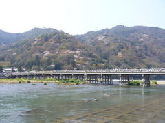 あるばむさんの渡月橋への投稿写真1