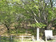 asahiさんの八幡山古墳の投稿写真1