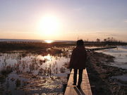 ミユさんのトドワラの投稿写真1