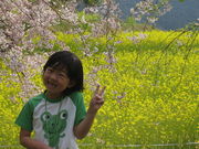 dariasukaさんの樹芸の森の投稿写真1