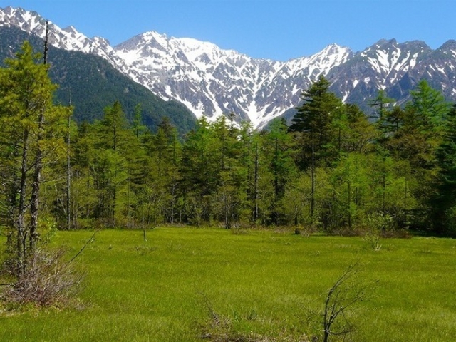 田代湿原
