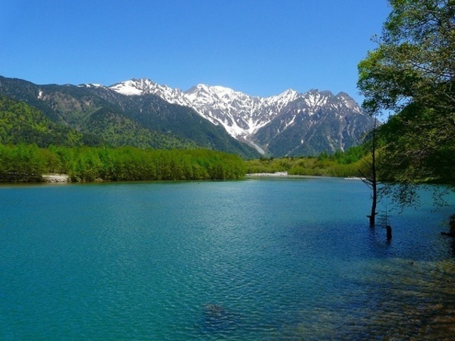 大正池