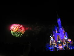 東京ディズニーランド(R)の写真1