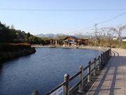 とびうおちゃんさんの丸池公園の投稿写真1