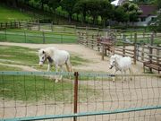 ひっちぃさんの鞍ケ池公園 観光牧場の投稿写真1