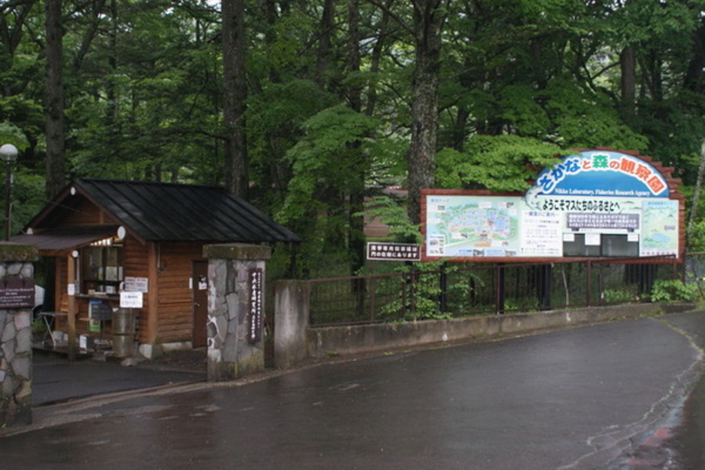 水産総合研究センター(さかなと森の観察園)