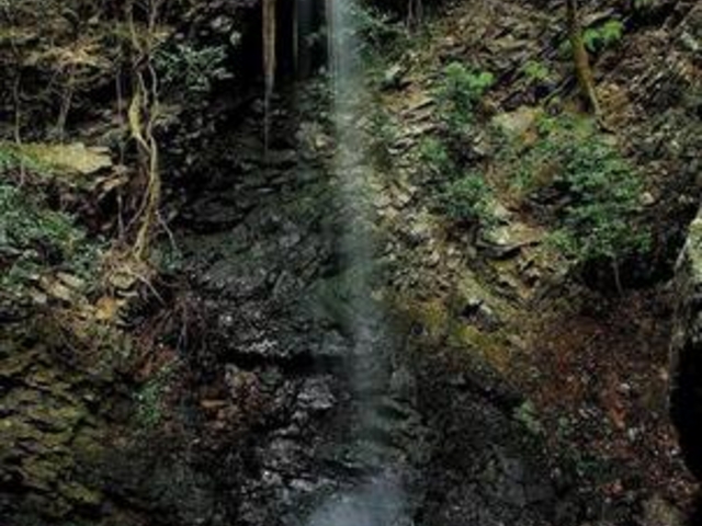 軻遇突智さんの青谷不動の滝の投稿写真1