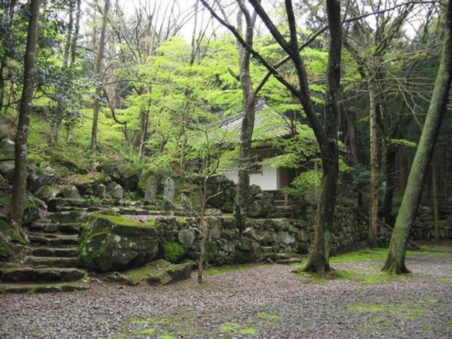 ryuji92jpさんの太郎生地区の投稿写真1