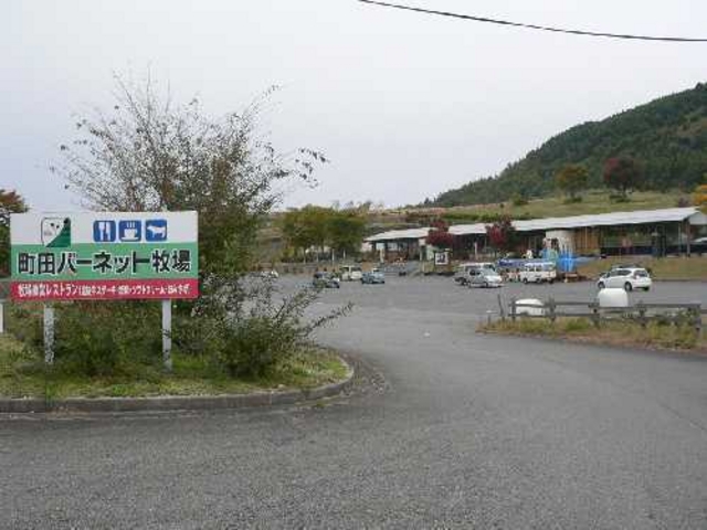 町田バーネット牧場